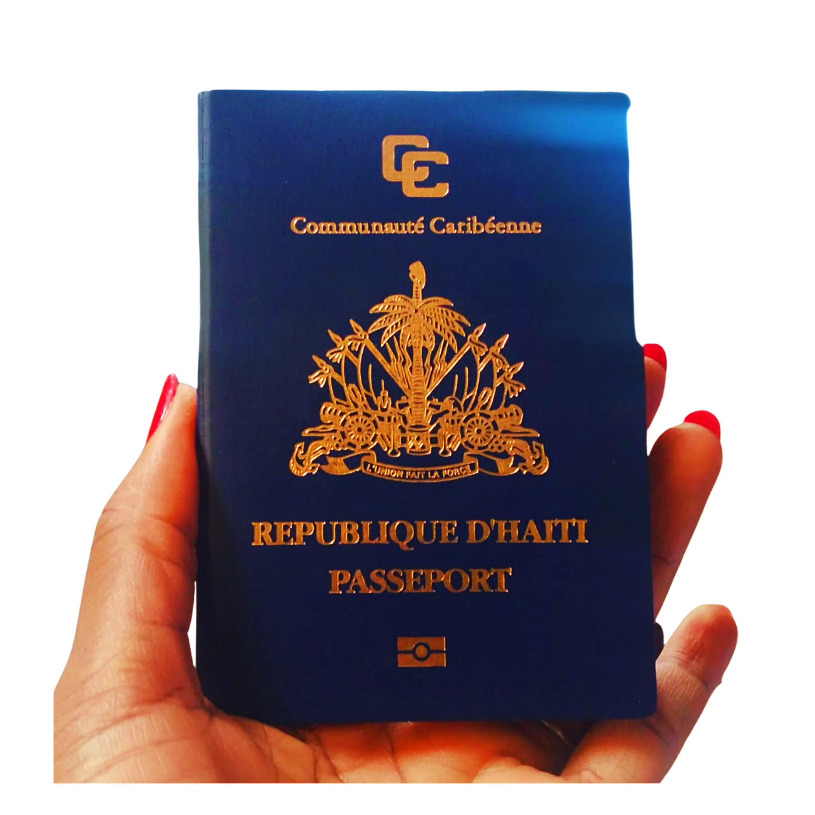 RENEW YOUR HAITIAN PASSPORT ONLINE